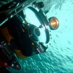 trabajos marinos en canarias